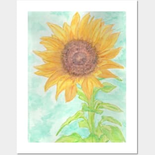 Sun flower Posters and Art